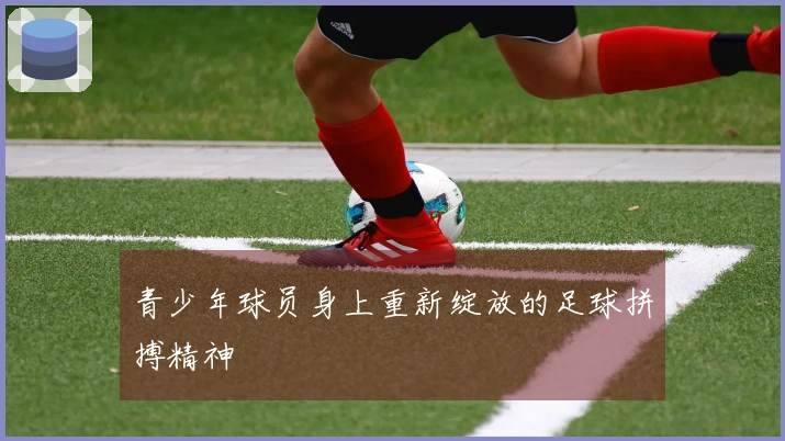青少年球员身上重新绽放的足球拼搏精神